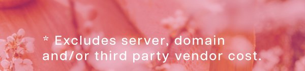 Excludes server, domain, and or third party vendor cost.